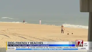 2 NC beaches make list of most dog-friendly in US
