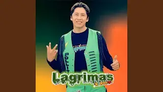 Celosita De Mi Vida