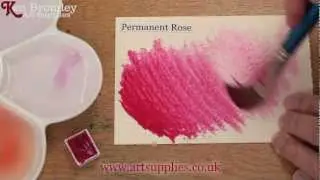 Winsor & Newton Cotman paint Permanent Rose 502