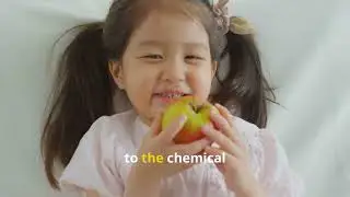 Why Do Apples Turn Brown? The Science Explained FAST!