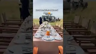 Bush Breakfast in Maasai Mara | The Ultimate Safari Dining Experience!