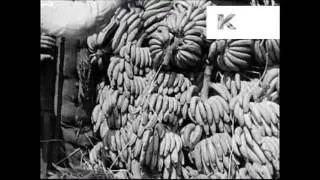 1930s Hamburg Docks, Unloading Cargo, Trade
