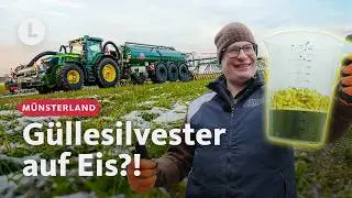 G&uuml;llesilvester 2026: Landwirt Henning will endlich loslegen | WDR Lokalzeit LandSchafft