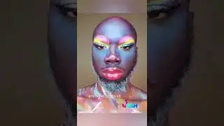 Funny Videos