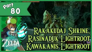 Legend of Zelda: Tears of the Kingdom 100% walkthrough Part 80 - Lightroot after Lightroot!