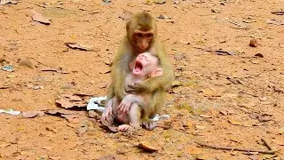 Mom go to Market don't c-r-y brother ...!!