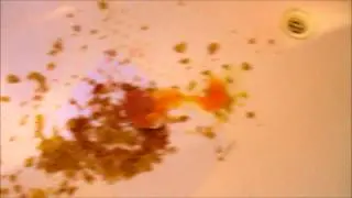 How To Write A Love Letter - In the Style of HowToBasic