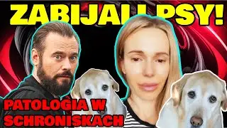 UŚMIERCALI PSY DLA PIENIĘDZY.. PRAWDA O SCHRONISKACH I DODA I STANOWSKI