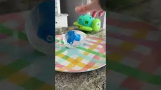 DIY Hatching Turtle Activity | Learning Resources