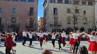 Sardana 