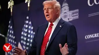 Trump blames diversity and inclusion policies for Washington DC plane crash