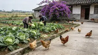 Scared by a Barking Village Dog! 4K Walk in Hidden Chengdu Farmland