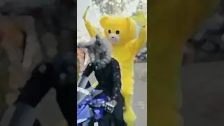 Rider with teddy bear ||#shorts #viral