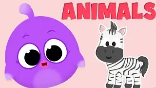 Which Animal? Animals Song 🎶 Learn Animals - Pop the Bubble - Giligilis Kids Songs | Lolipapi