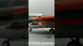 Procurement of Turkish Gokdo by PAF