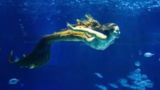 A sereia Ritinha da Força do Querer nada de sereia