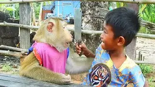 Abii And SokYaa Challenge And Eating HILARIOUS Reaction