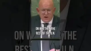 Russia Had A Meltdown In The United Nations #shorts