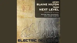 Next Level (D.C. Remix)