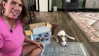 🖤 40PCS Charcoal Pee Pads Review | XL Odor-Control Pads for Dogs, Cats & Puppies!