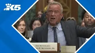 RFK Jr. grilled on public health by senators