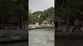 Backwater wedding at kochi port #travel #kochi #backwaters #shortsvideo #shortsfeed #youtubeshorts