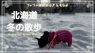 北大の雪原を歩く｜おはぎと冬の北海道散歩、そして姉妹の日常／Walking Across Hokkaido University's Snowfields #おはぎともなか #おはもな #北海道大学