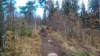 Stisykling med Aurora (8) i Nordmarka