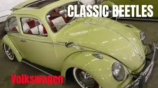 VOLKSWAGEN BEETLE #automobile #classiccars #carrepairs #carpaint #autorefinish