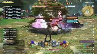Dhon Meg Dungeon Fight FFXIV