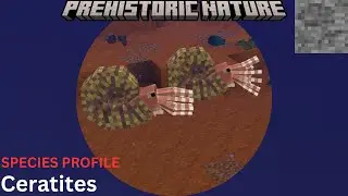 Prehistoric nature - Ceratites species profile (outdated)