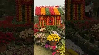 Bell Pepper House at Noida Flower Show 2025 #noidaflowershow #vasantutsav #flowershow #shorts