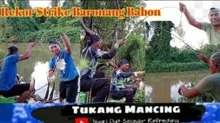 Rekor Strike Baronang Babon Jatah Lauk Makan Di Spot Mancingku@pbbraflesiafishing