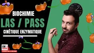 ENZYMOLOGIE : 🧬Cinétique enzymatique, ce qu'il faut maîtriser !