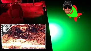 Night Time Crappie Fishing with Lights