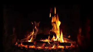 ASMR Sleep-Inducing Bonfire, Burning Firewood, Crackling of Fire Sound Effect, White Noise 12 Hours
