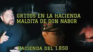 Paranormando Z World está en vivo