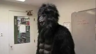 Never say no to Gorilla - Panda Parody