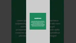 Animated Image Hover Effect | CSS Tutorial #shorts