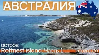АВСТРАЛИЯ, остров Rottnest island. Часть 1 | Выпуск 6