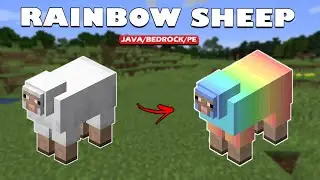 How to Make Rainbow Sheep in Minecraft - TUTORIAL
