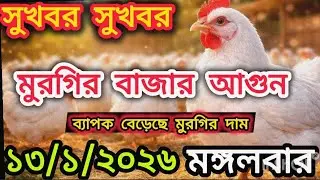 Today's Broiler & Sonali Chick Price | Broiler & Sonali Chick Price Today | Poultry Update