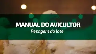Manual do Avicultor Copagril – Pesagem do lote