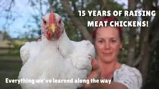 15 years of Raising and Butchering Meat Chickens: Everything we've learned
