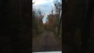Drive out to Barker lake Rd from Wild Country Maple Syrup