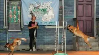 Woofjocks Promo