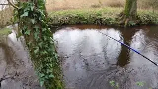 P&ecirc;che de la truite