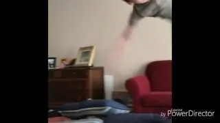 INSANE FLIP COMPILATION😱