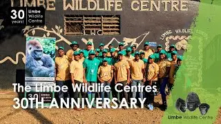 Limbe Wildlife Centre's 30th Anniversary on LTM
