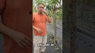 काकडी साठी प्लास्टिक जाळी - Crop Support Net #cropnet #cropsupportnet #cucumber